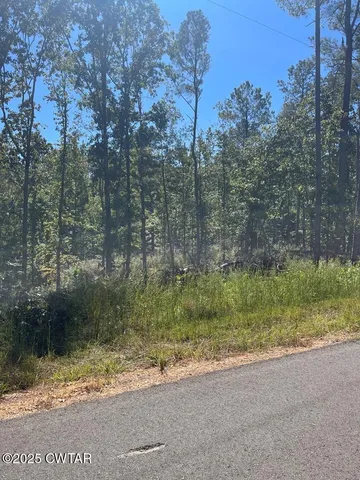 a view of backyard with green space