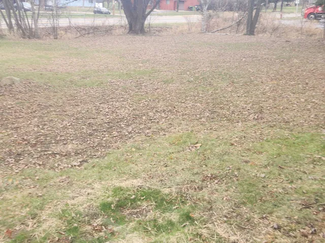 $175,000 | 41 E Vista, Markesan, WI 53946