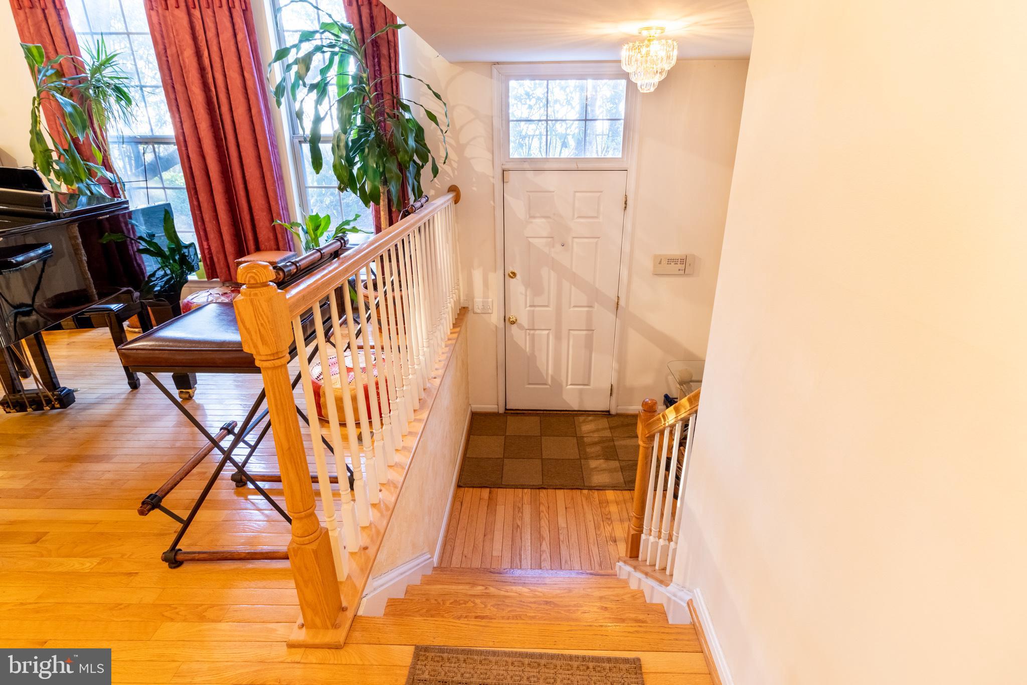 6023 Riddle Walk Alexandria, VA 22312 - Photo 3 of 34 Gallery Image 3