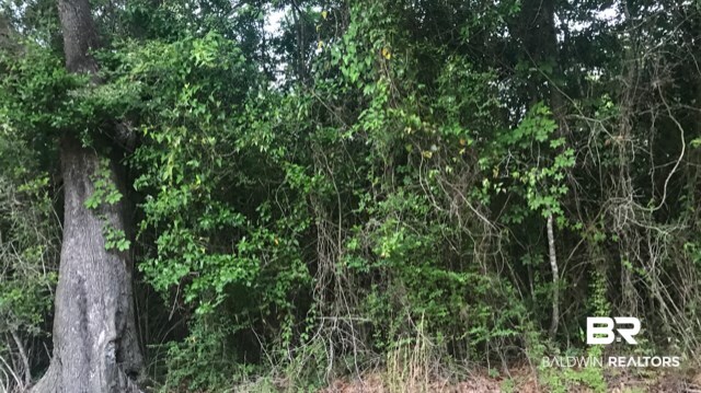 10550 Magnolia Springs Highway Foley, AL 36535 - Photo 2 of 3