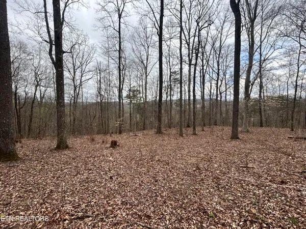 $144,900 | 10 Possum Valley Road, Maynardville, TN 37807