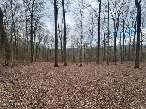 $144,900 | 10 Possum Valley Road, Maynardville, TN 37807