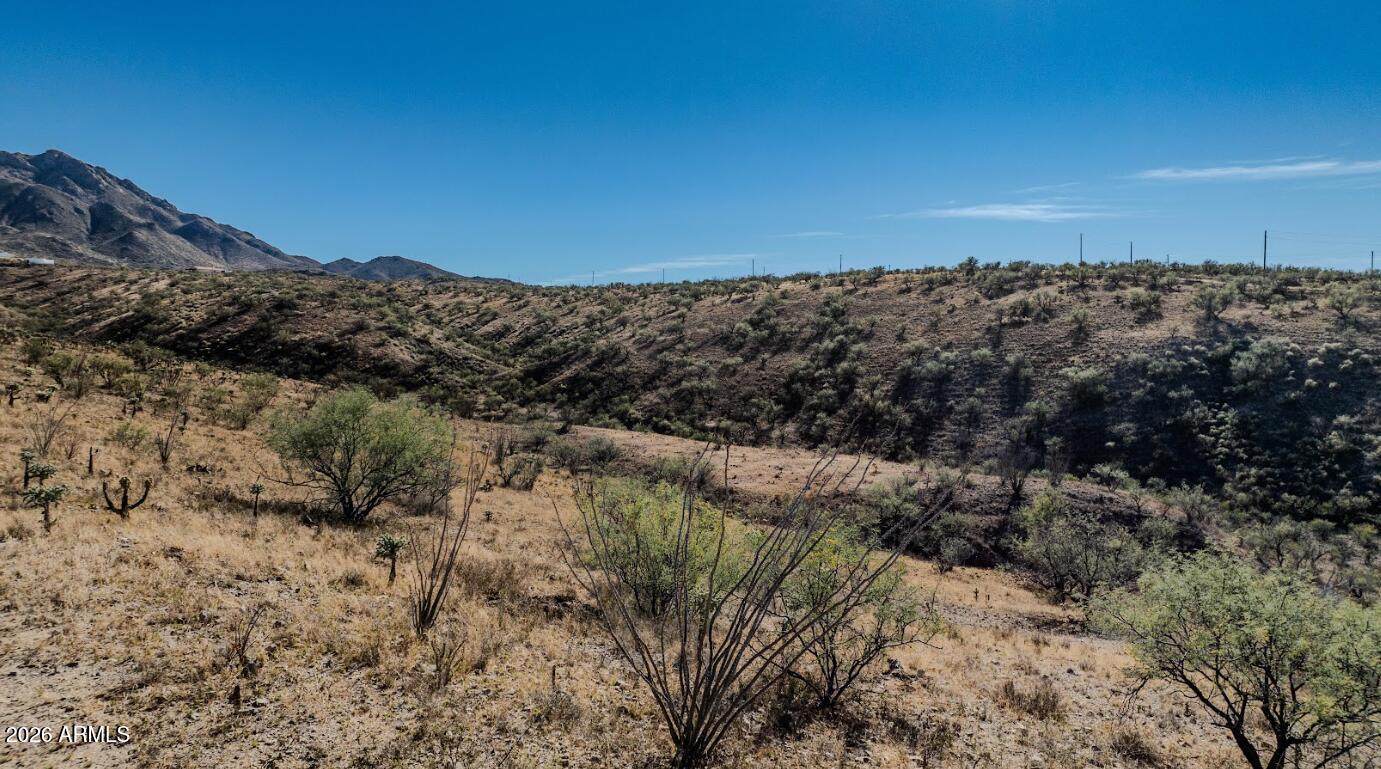 338 Anfibio Court, Unit 79 Rio Rico, AZ 85648 - Photo 11 of 13 a view of a building in a yard