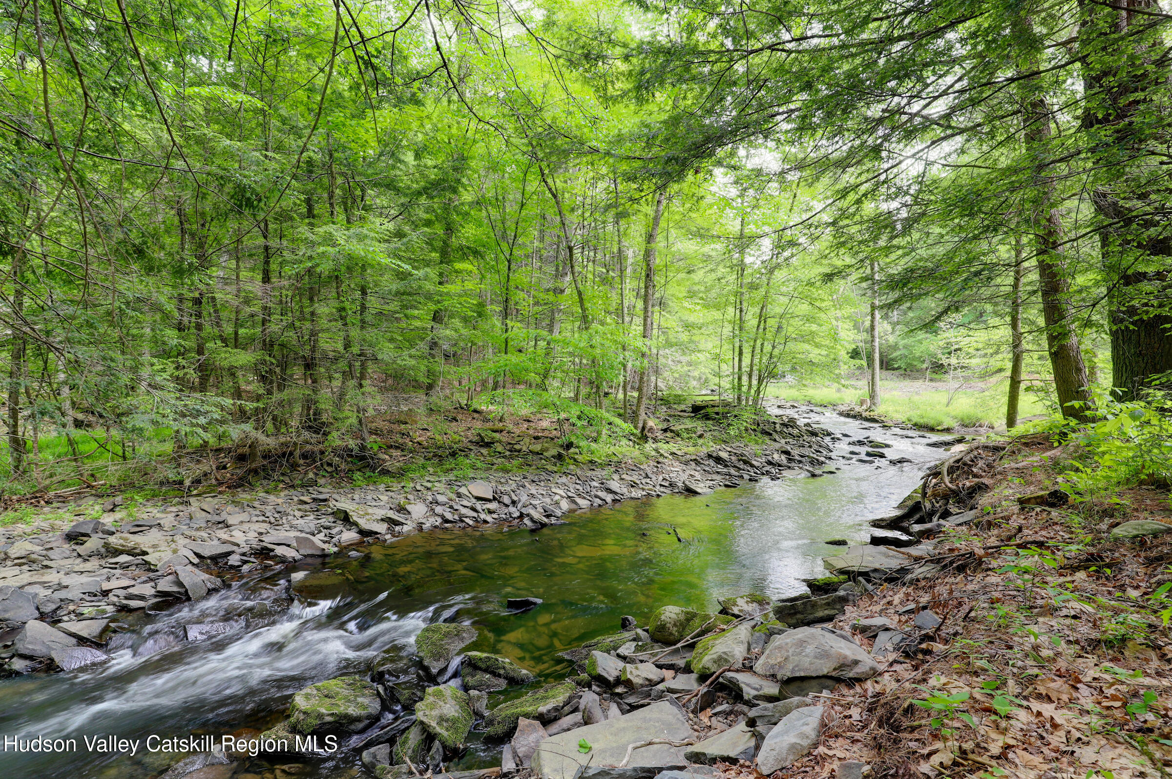 421 Brown Road Olivebridge, NY 12461 - Photo 17 of 22 IMG_6501