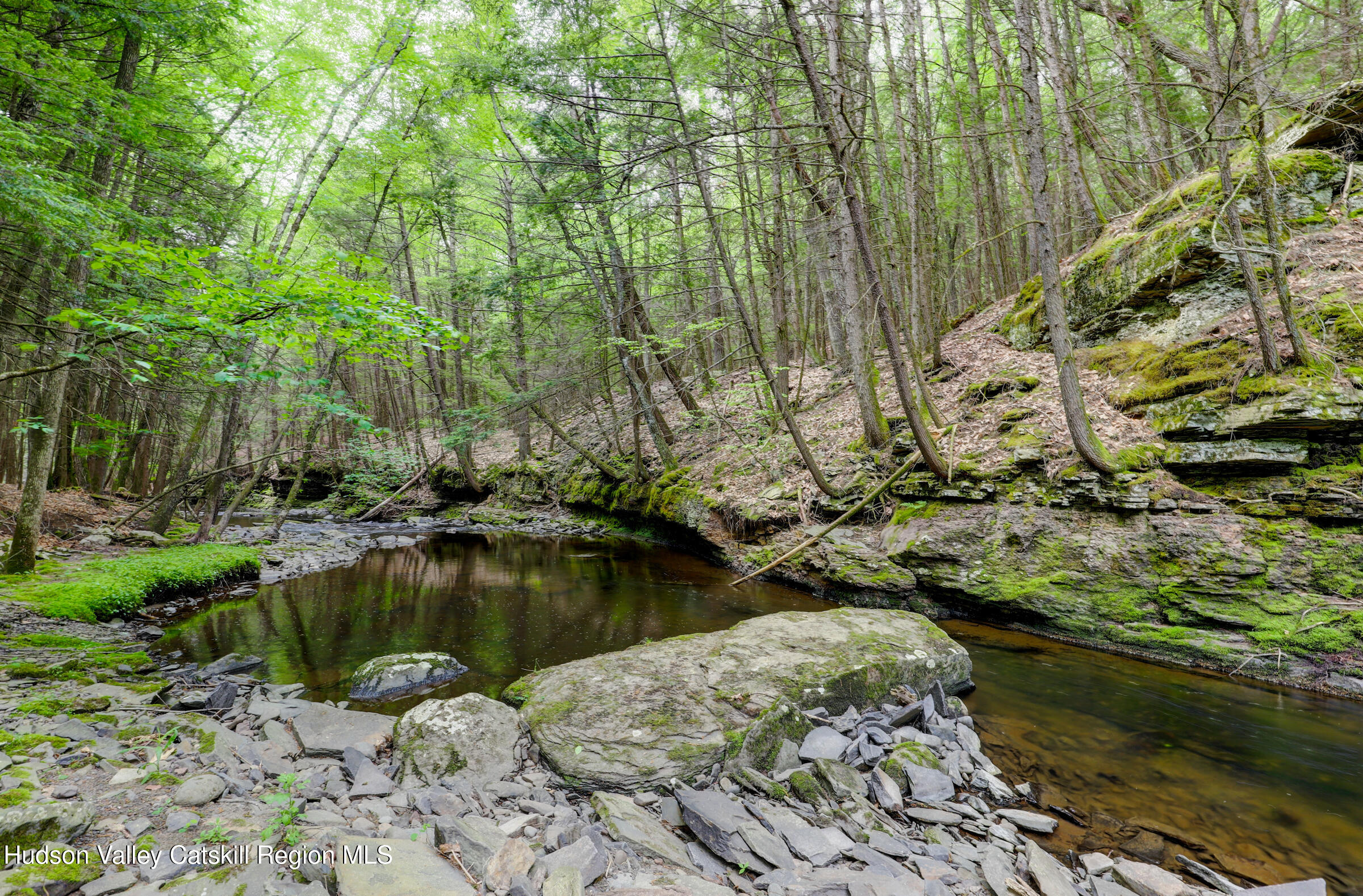 421 Brown Road Olivebridge, NY 12461 - Photo 3 of 22 IMG_6453