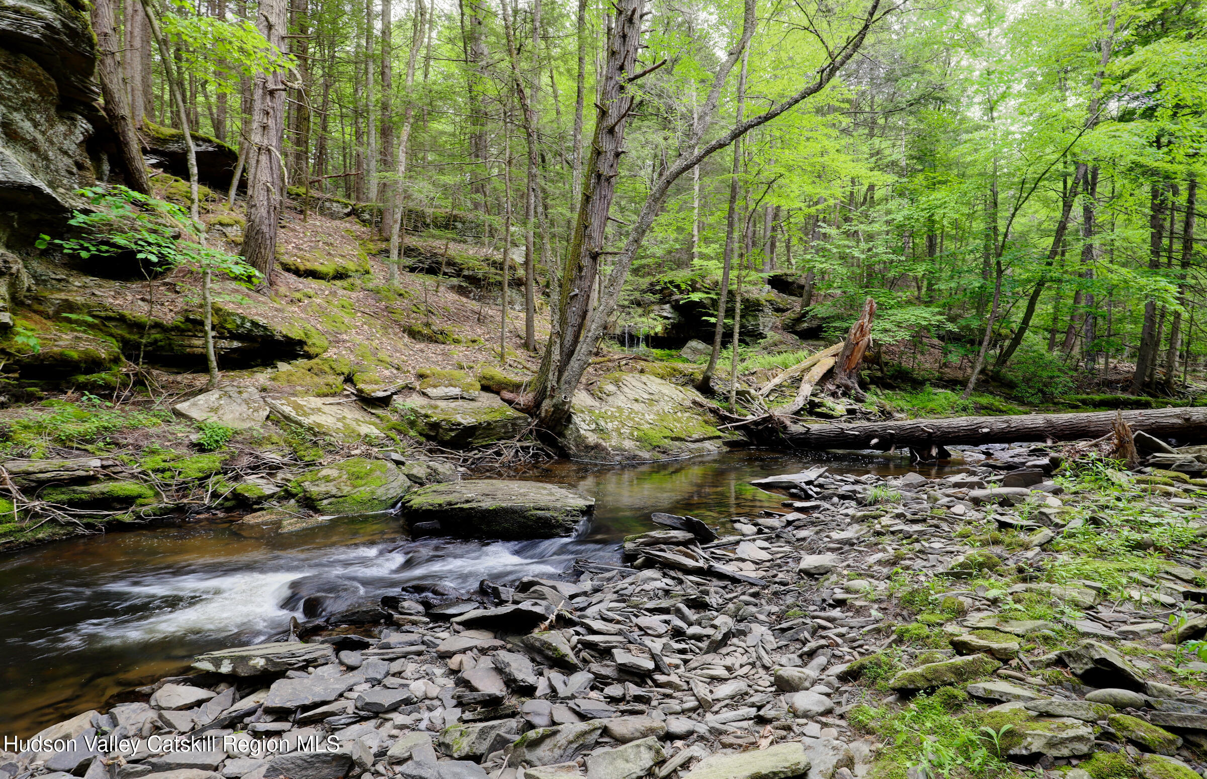 421 Brown Road Olivebridge, NY 12461 - Photo 4 of 22 IMG_6465