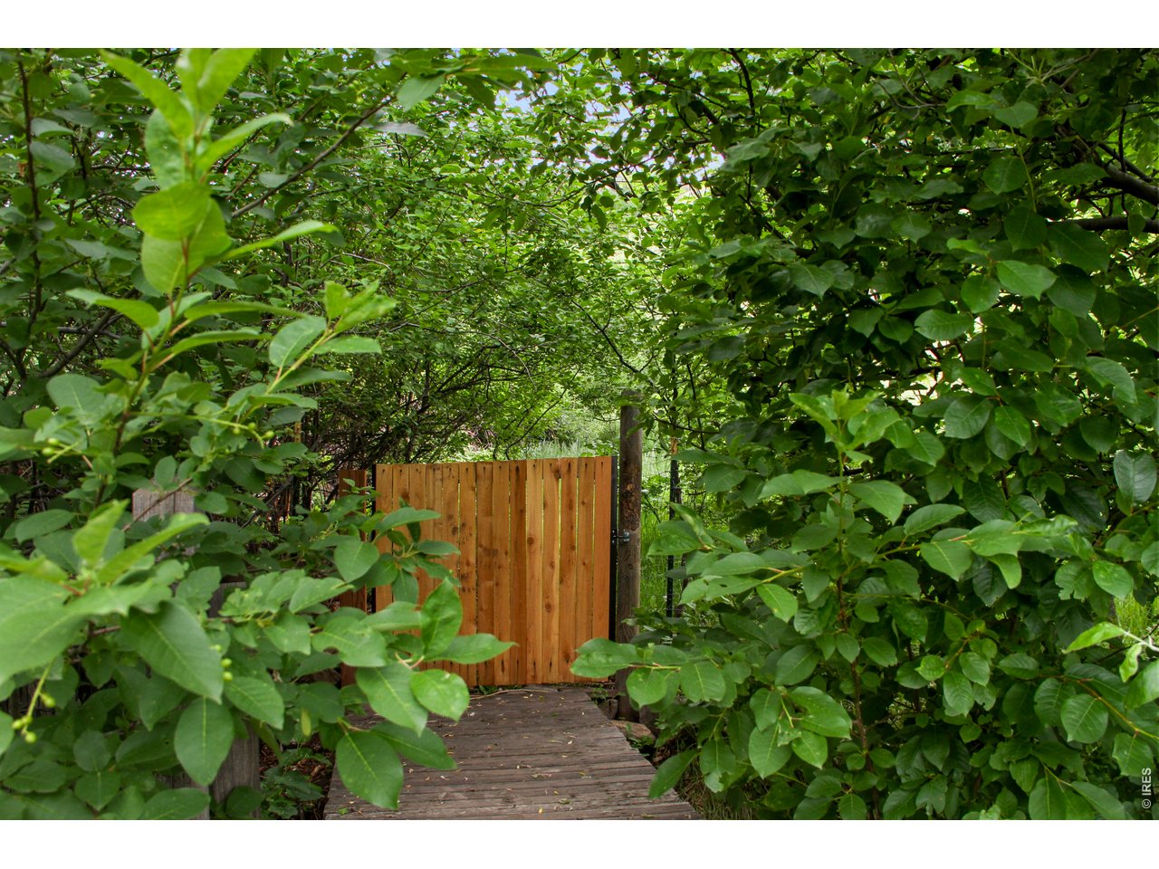 3421 4th Street Boulder, CO 80304 - Photo 35 of 40