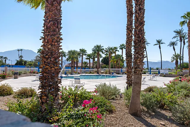 a view of a park with a fountain and plants