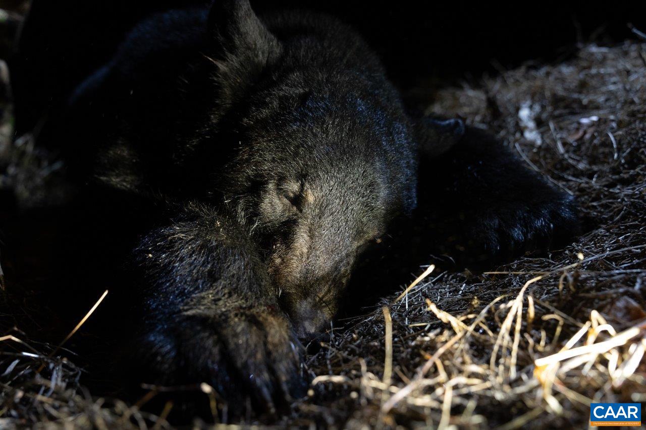 0 Foothills Road Callaway, VA 24067 - Photo 26 of 47 a close up of a sink