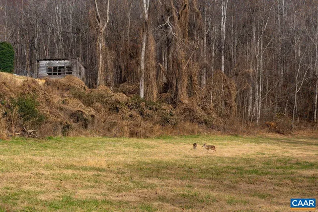 a view of a backyard with a sink
