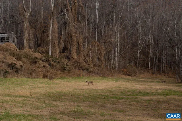 a view of city and green space