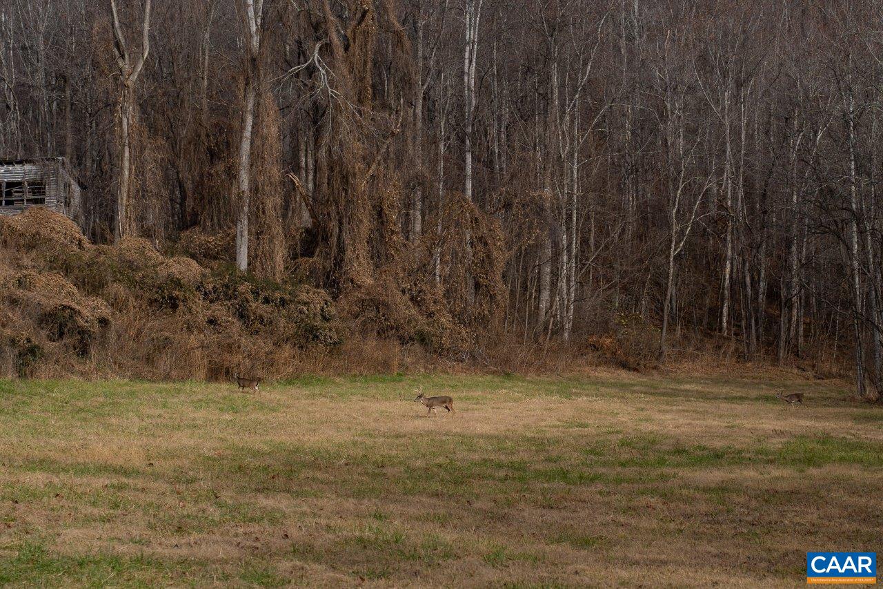 0 Foothills Road Callaway, VA 24067 - Photo 29 of 47 a view of a backyard