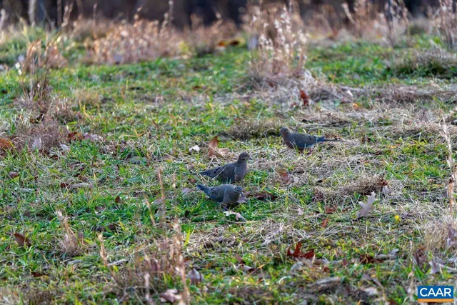a aerial view of a house with a yard
