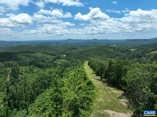 a view of a green yard with large trees