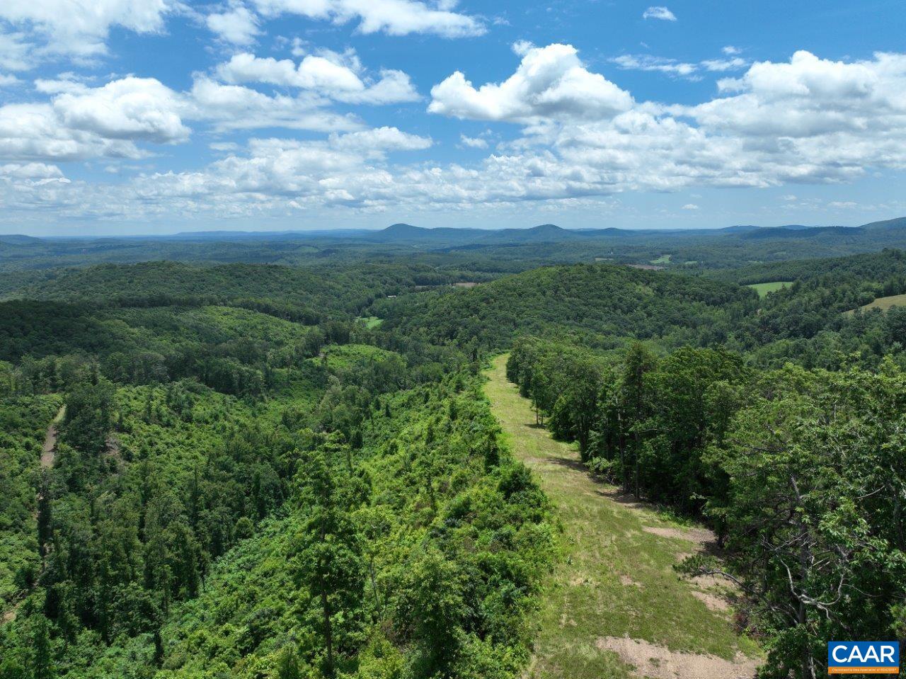0 Foothills Road Callaway, VA 24067 - Photo 3 of 47 a view of a green yard with large trees
