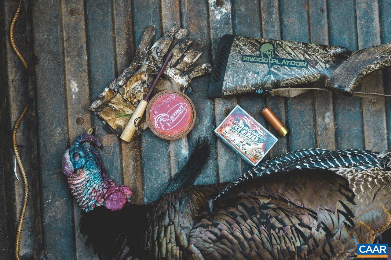 0 Foothills Road Callaway, VA 24067 - Photo 32 of 47