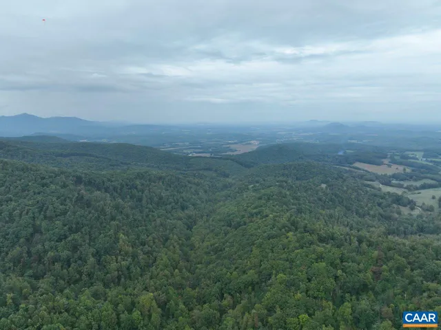 a view of city with lush green forest