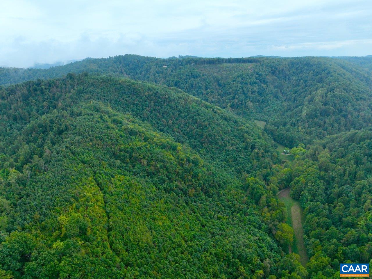 0 Foothills Road Callaway, VA 24067 - Photo 39 of 47 a view of a lush green forest with a mountain