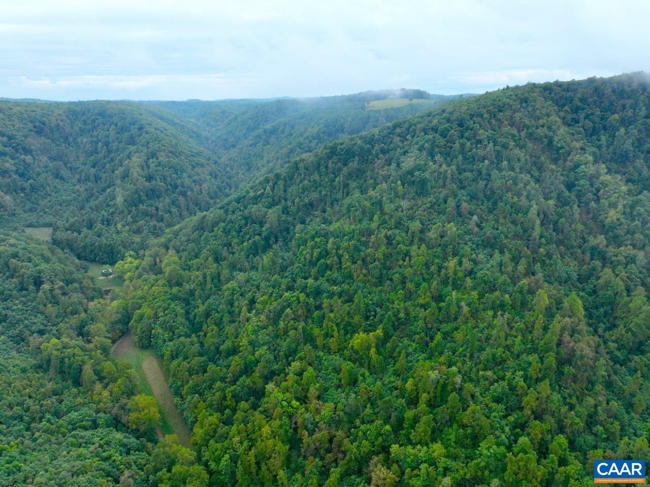 0 Foothills Road Callaway, VA 24067 - Photo 40 of 47 a view of a lush green forest with a mountain