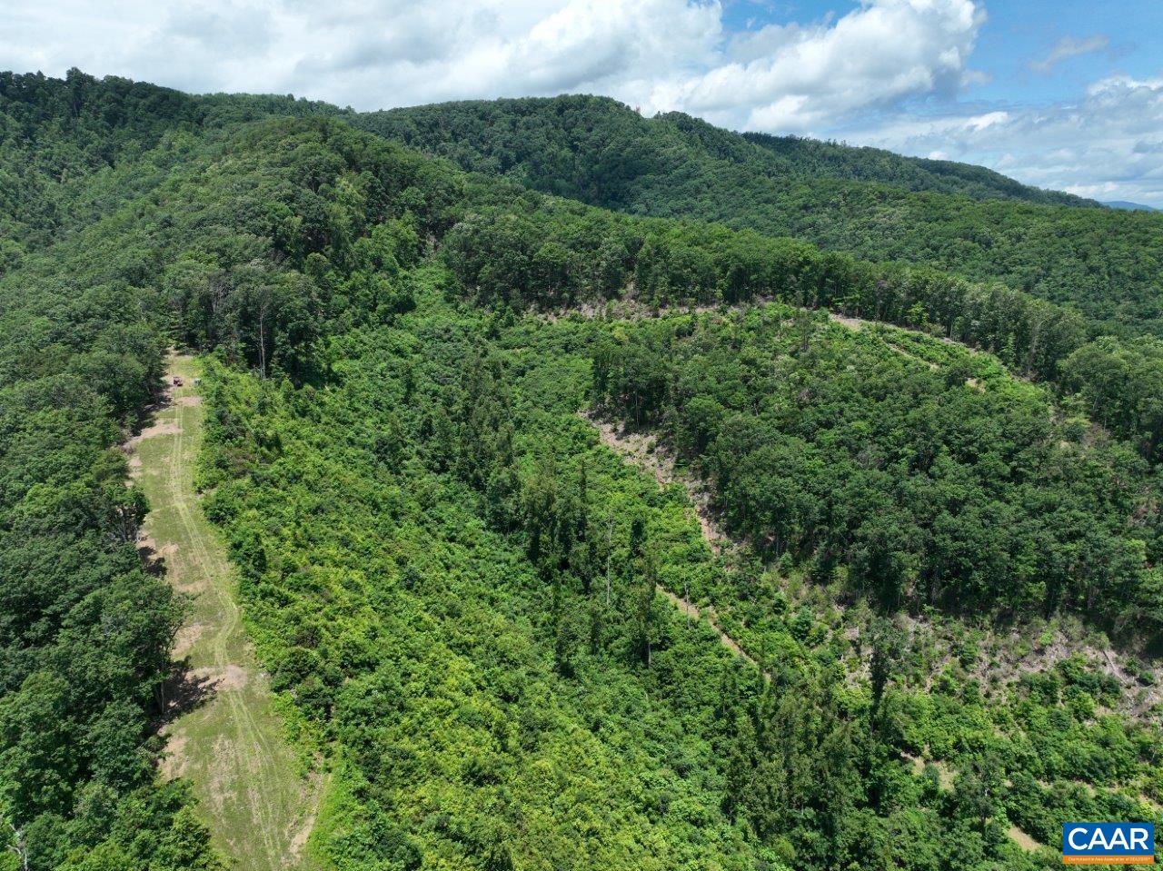 0 Foothills Road Callaway, VA 24067 - Photo 4 of 47 a view of a lush green forest with trees in the background