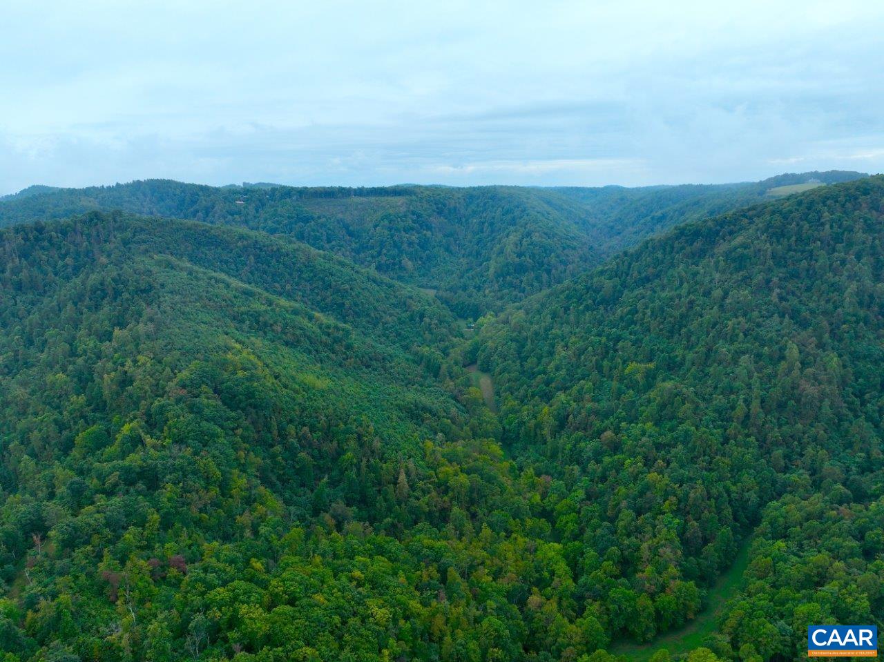 0 Foothills Road Callaway, VA 24067 - Photo 41 of 47 a view of city with lush green forest
