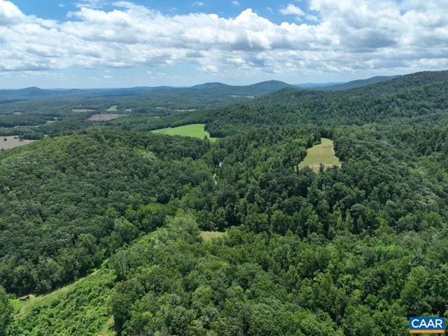 a view of a city and lush green forest