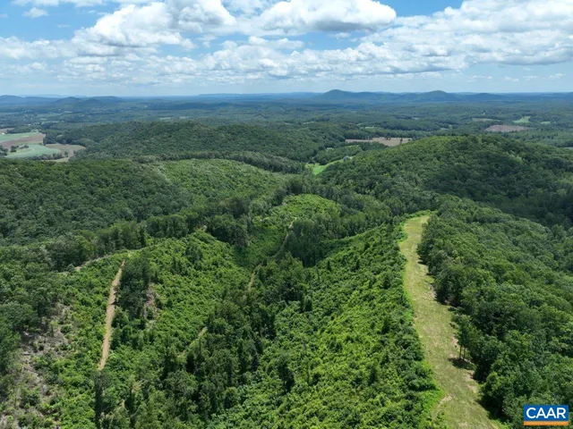 a view of a green field with lots of bushes