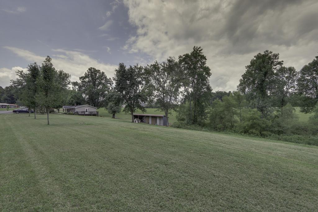 301 Whitson Road Bethpage, TN 37022 - Photo 4 of 29 a view of a field with trees in background