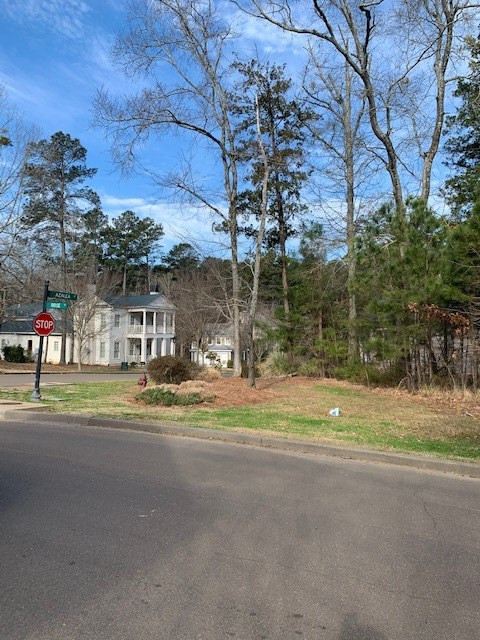 Lot 82 Ridge Street Madison, MS 39110 - Photo 3 of 3 Photo 3