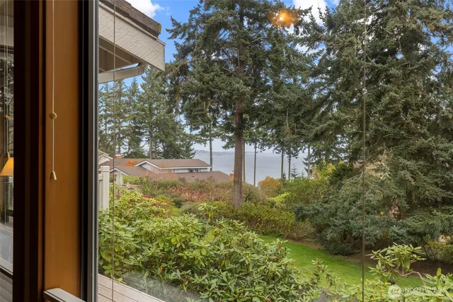 a view of a back yard from a window