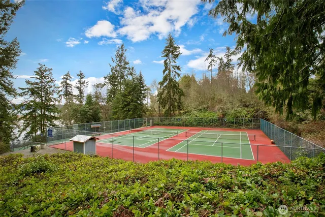 a view of a tennis ground with large trees