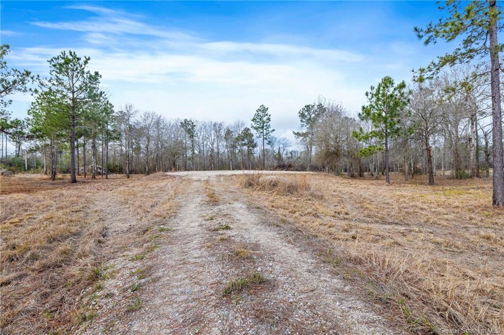 Conway Rosteet Road Ragley, LA 70657 - Photo 2 of 15 Gallery Image 2