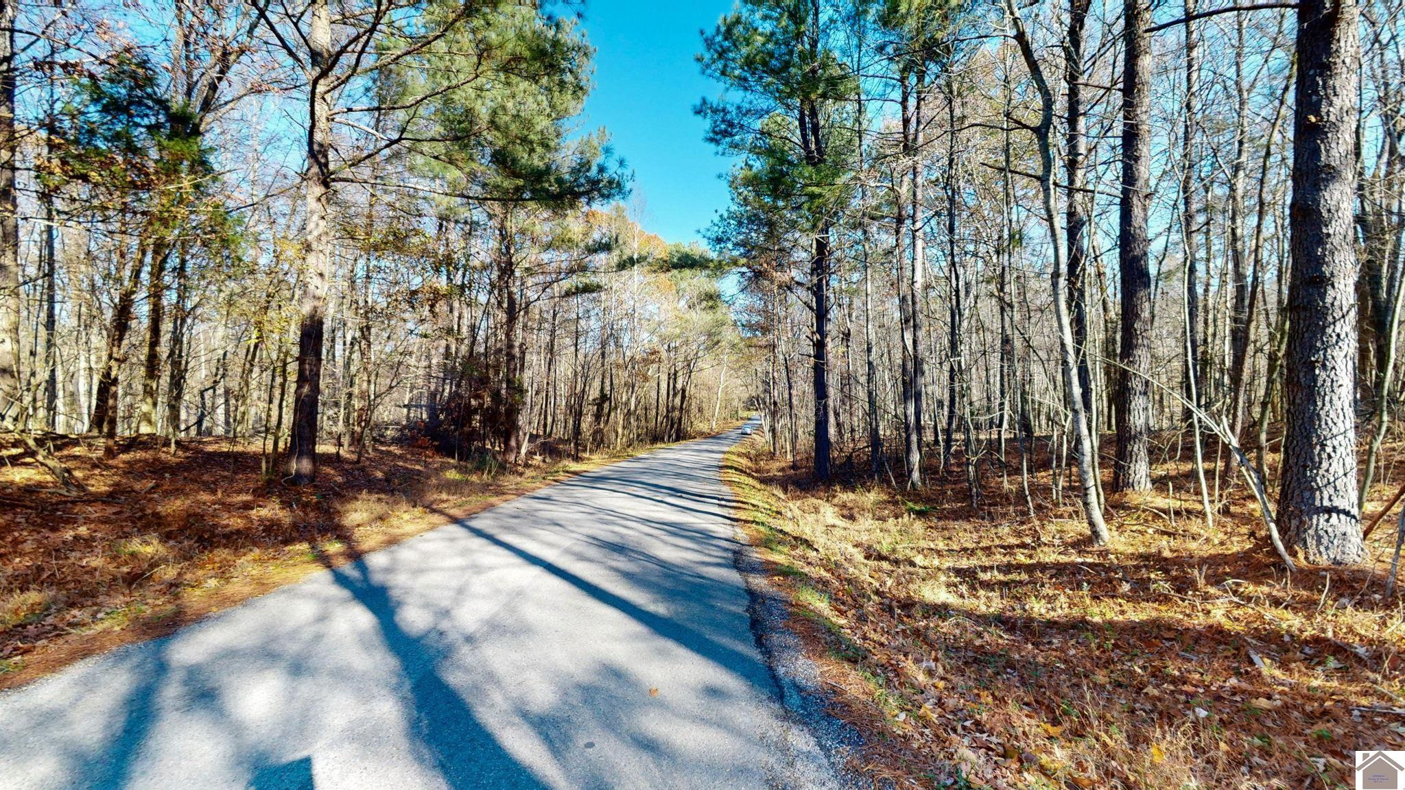 Protemus Road Murray, KY 42071 - Photo 4 of 15 Photo 4