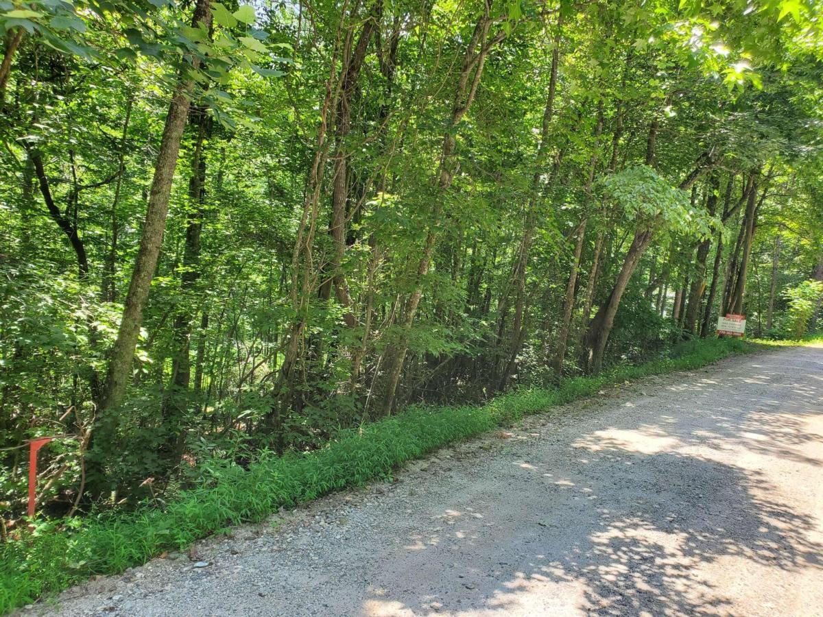 0 Broadus Road Cleveland, GA 30528 - Photo 1 of 1 a view of a yard with plants and trees