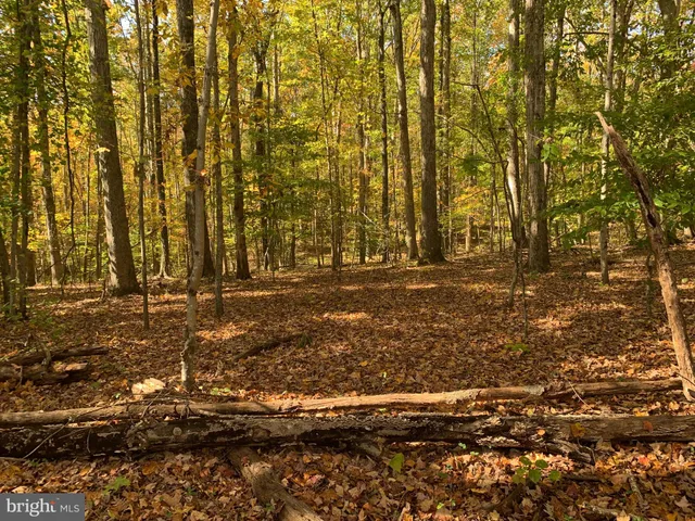 a view of building with trees