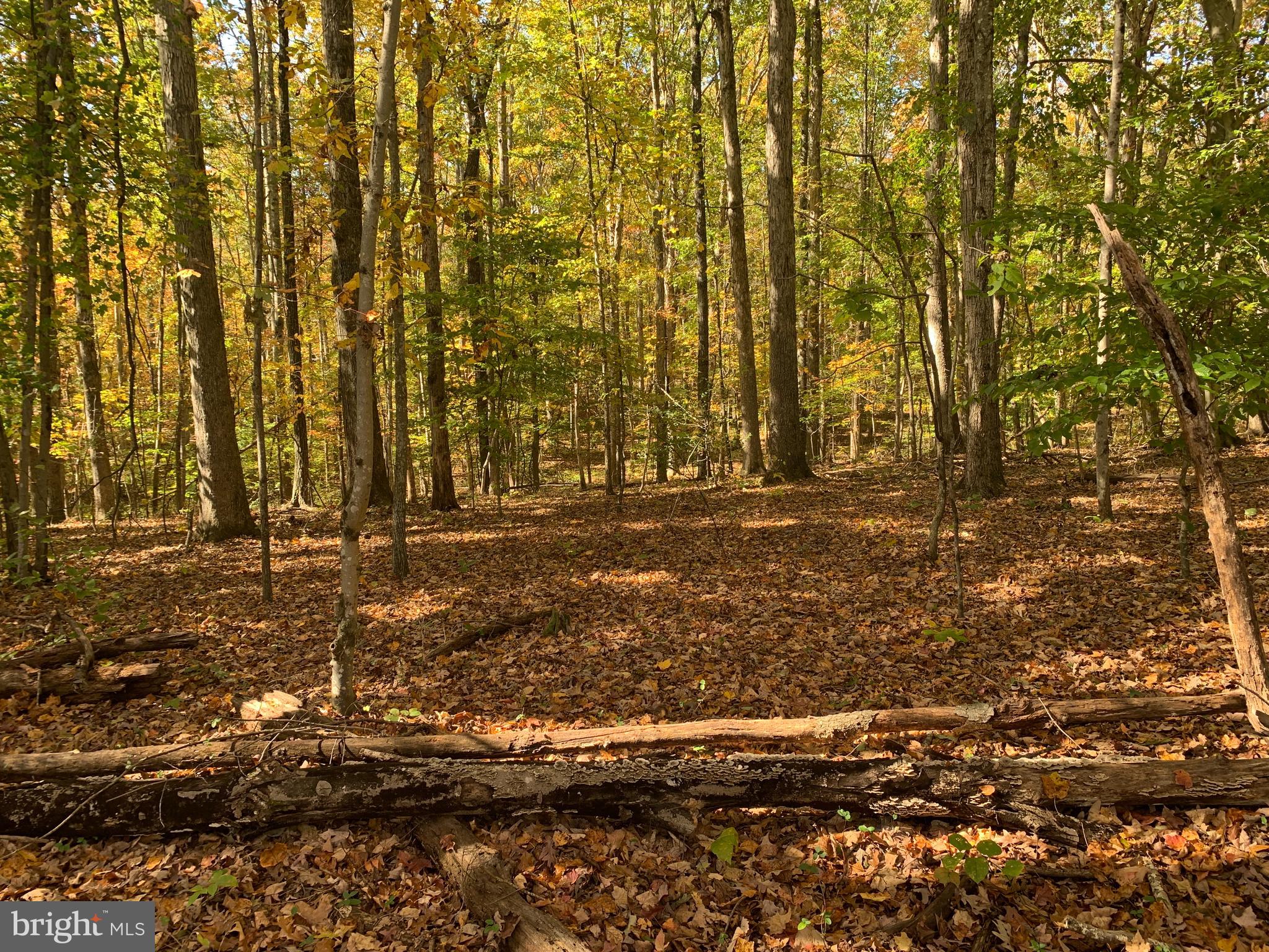 28282 Raccoon Ford Road Culpeper, VA 22701 - Photo 17 of 34 a view of building with trees