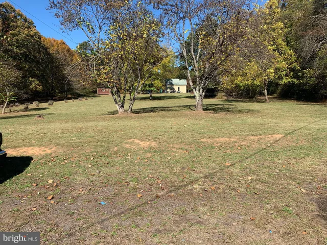 a view of yard with trees