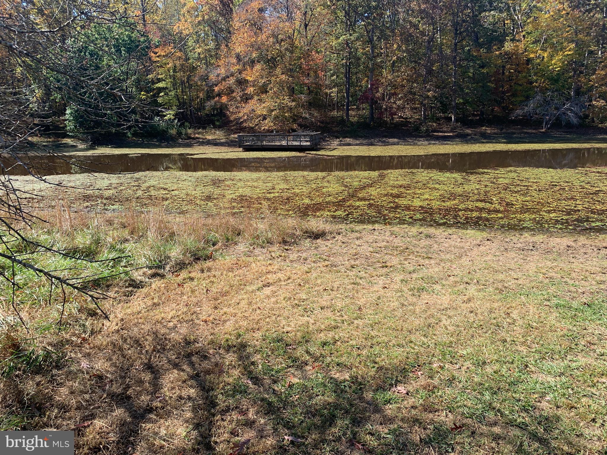 28282 Raccoon Ford Road Culpeper, VA 22701 - Photo 26 of 34 a view of a swimming pool with an outdoor space