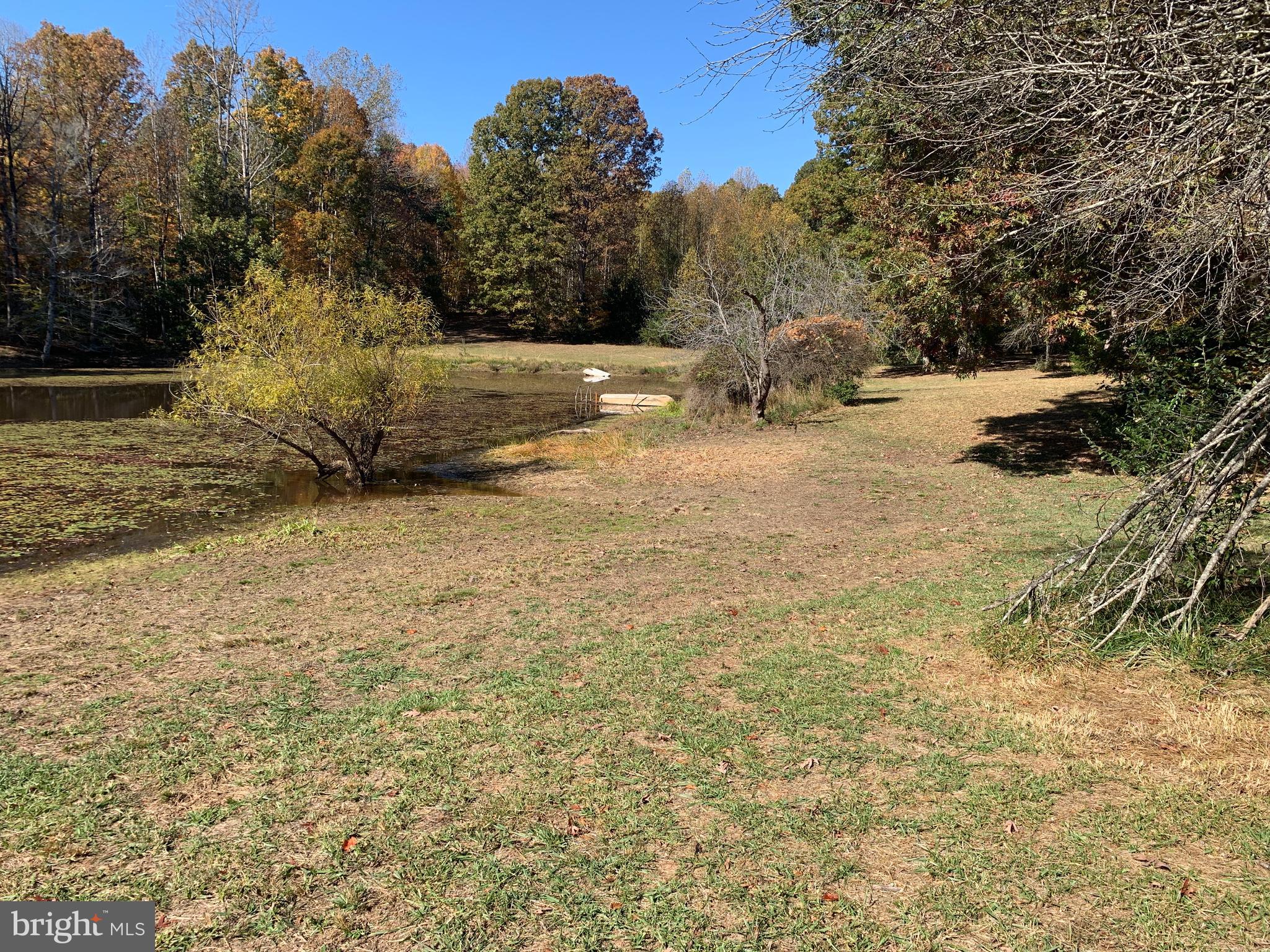 28282 Raccoon Ford Road Culpeper, VA 22701 - Photo 27 of 34 a view of yard with trees
