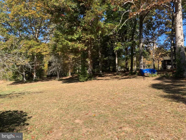 a view of road with trees