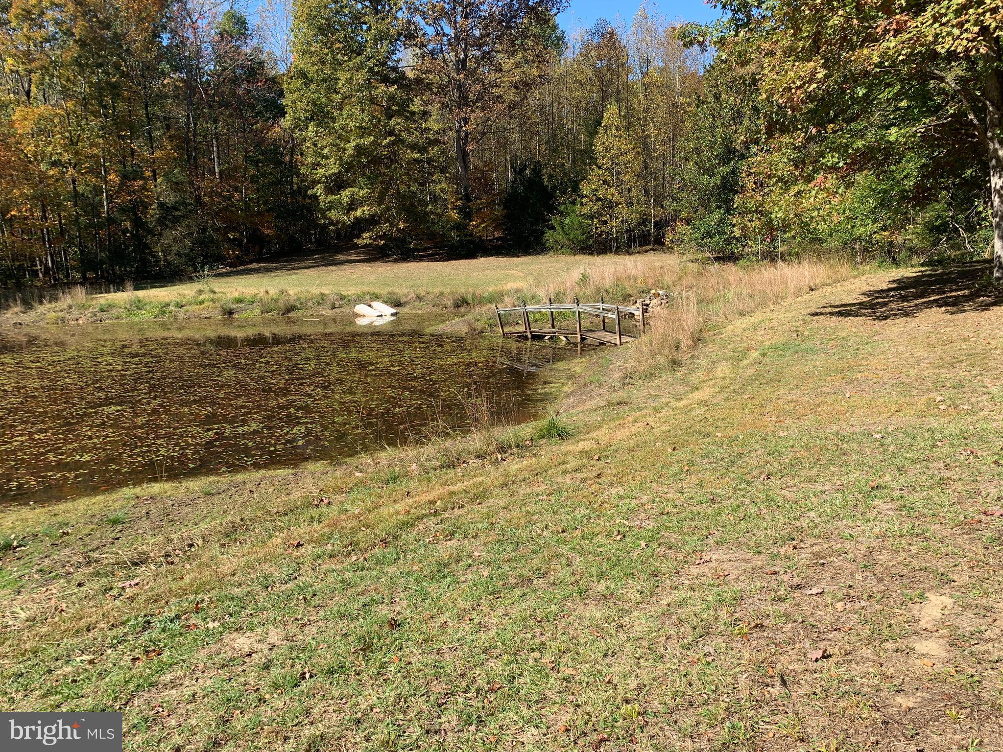 28282 Raccoon Ford Road Culpeper, VA 22701 - Photo 30 of 34 a view of a yard with snow on the road