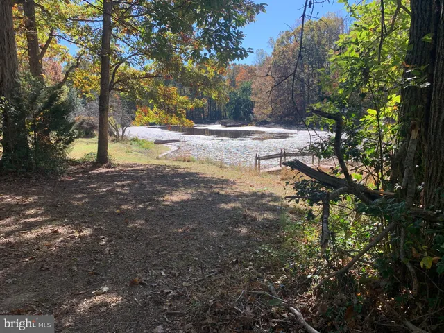 a view of backyard of green space