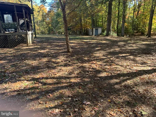 a view of a tree in the middle of a yard