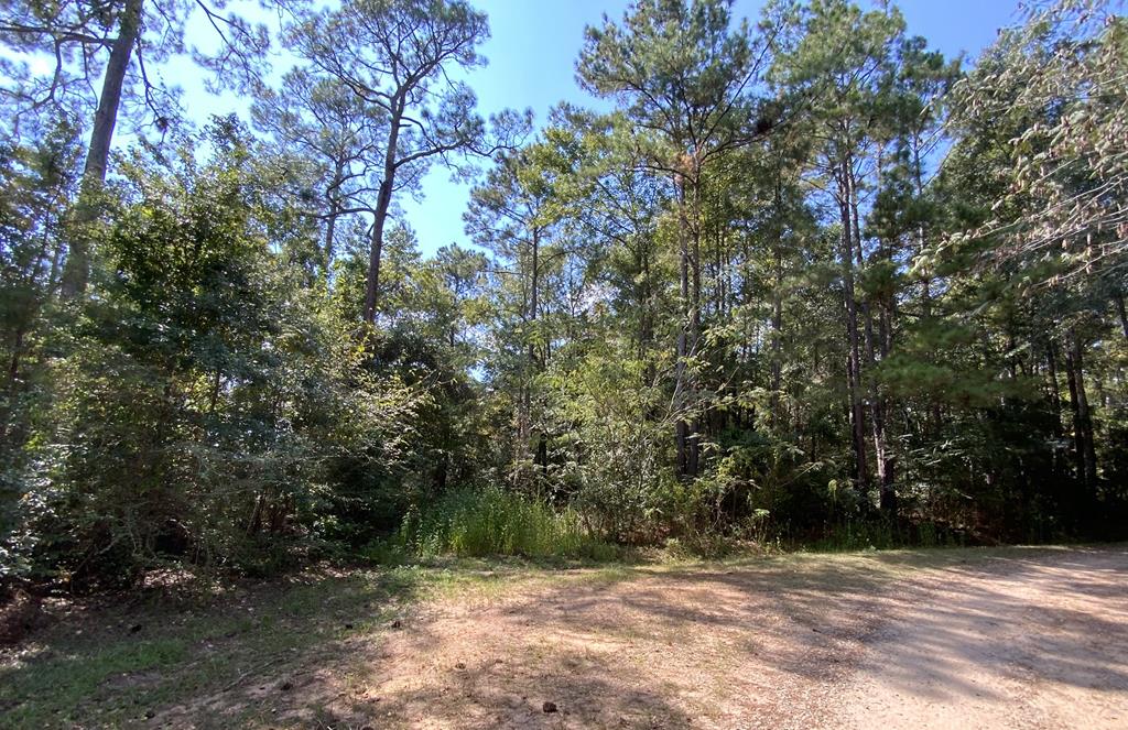 1879 Hall Road Thomasville, GA 31757 - Photo 3 of 10 Gallery Image 3