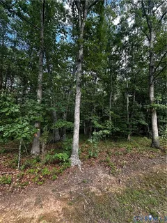 $20,000 | 148 Pinehurst Drive, Louisa, VA 23093