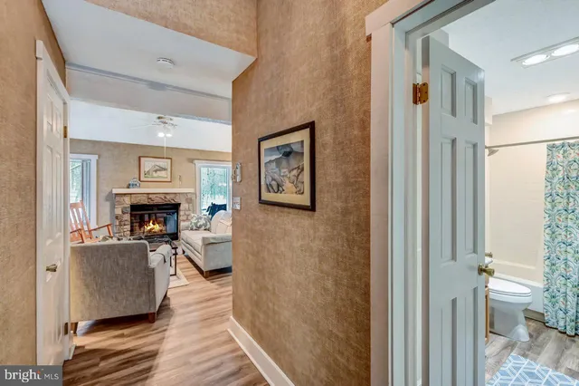 a view of living room with furniture and fireplace