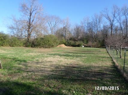 35 Waterfork Road Ethridge, TN 38456 - Photo 3 of 12 Gallery Image 3