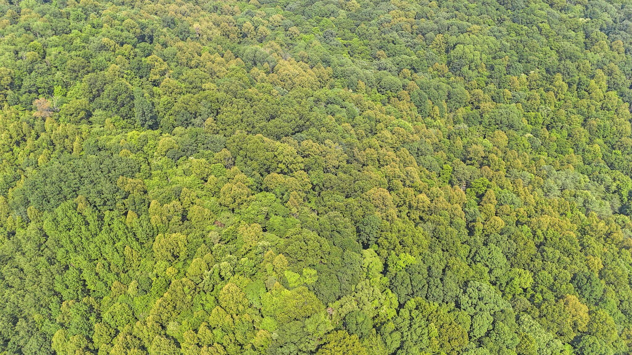 0 Thad Hall Road Laurelville, OH 43135 - Photo 26 of 28 18-web-or-mls-DJI_20240621161825_0076_D
