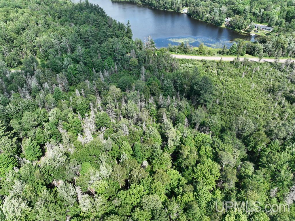0 Gold Mine Lake Road Ishpeming, MI 49849 - Photo 3 of 19