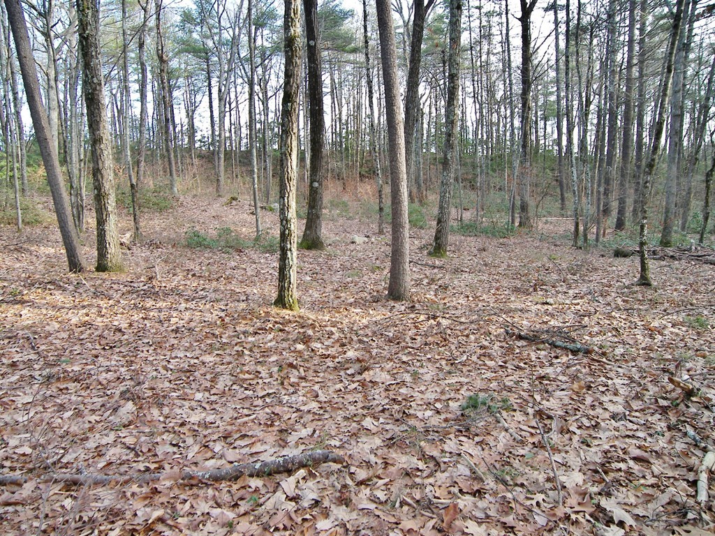 Lot 0 Federal Hill Road Hollis, NH 03049 - Photo 2 of 7 Gallery Image 2